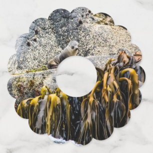 Jongeren pit op de rots wijnglaslabel