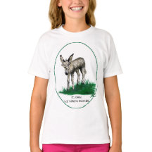 Jongerenshirt met Baby Donkey, St.John, USVI