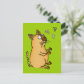 jongleerkat briefkaart (Staand voorkant)