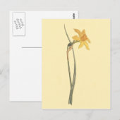 Jonquil Daffodil Gele Bloem Illustratie Briefkaart (Voorkant / Achterkant)