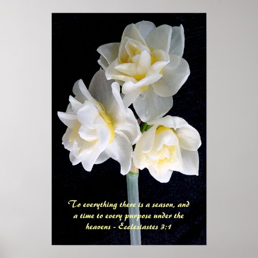 Jonquil Flower - Ecclesiastes 3:1 Poster (Voorkant)