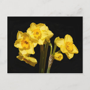 Jonquil Flowers Briefkaart