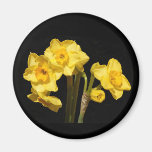Jonquil Flowers Magnet Magneet