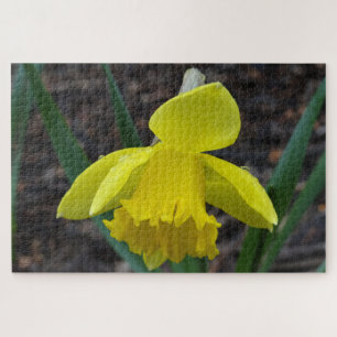 Jonquil in het voorjaar legpuzzel