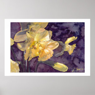Jonquilles au Clair de Lune - Affiche Imprimée Aqu