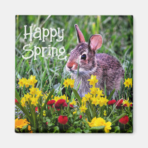 Jonquilles et Lapin Sauvage Magnet