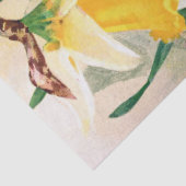 Jonquilles jaunes et papier de soie de soie blanc (Détail)