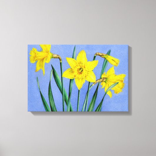 Jonquilles jaunes sur impression de toile bleue (Recto)