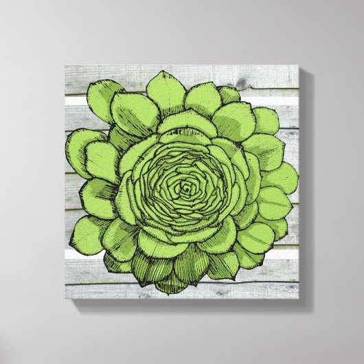 Jonus de Jovibarba heuffelii Canvas Afdruk (Voorkant)