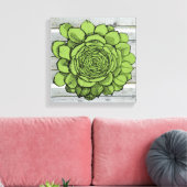 Jonus de Jovibarba heuffelii Canvas Afdruk (Insitu (Woonkamer))