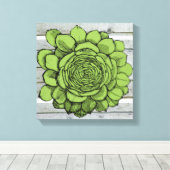 Jonus de Jovibarba heuffelii Canvas Afdruk (Insitu (Houten vloer))