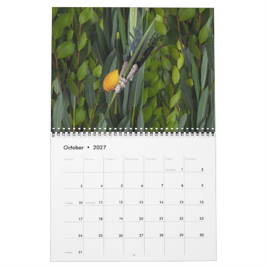 Joods leven kalender (Okt 2027)