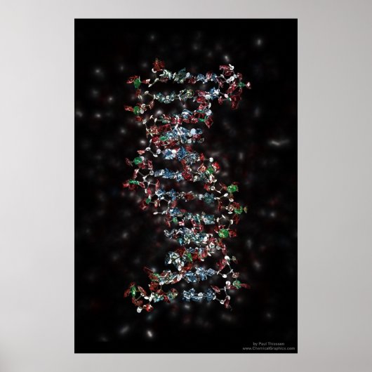 Joodse DNA Poster (Voorkant)
