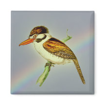  joodse Puff-vogel met Rainbow Sky
