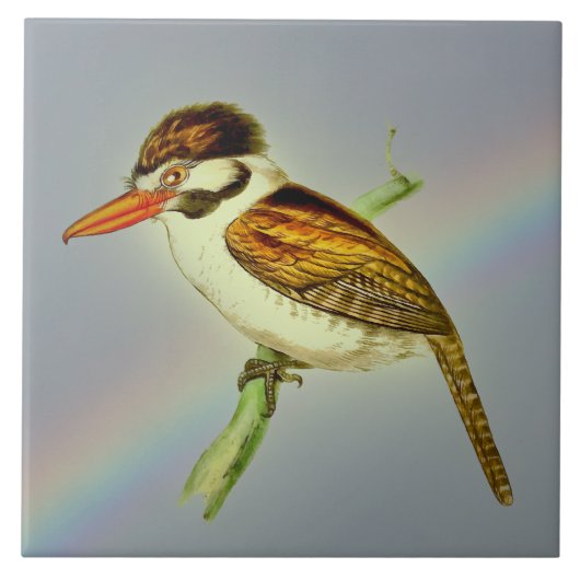  joodse Puff-vogel met Rainbow Sky Tegeltje (Voorkant)