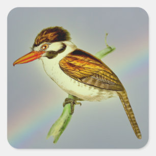  joodse Puff-vogel met Rainbow Sky Vierkante Sticker