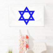 ✡︎ Joodse ster van David Spandoek (Insitu)