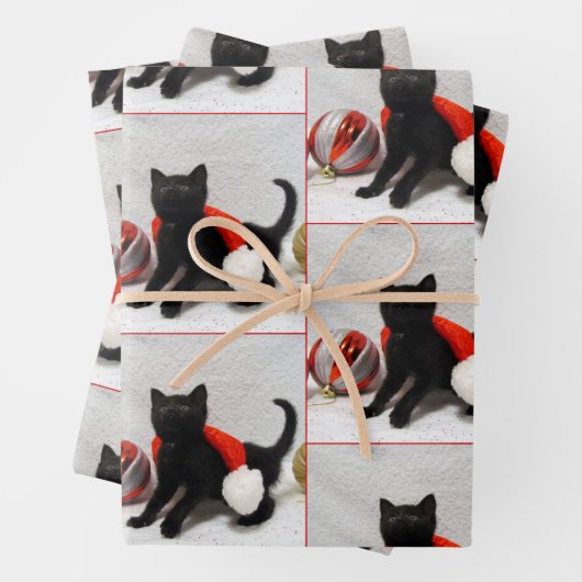 Joon The Rescue Kitten - Kerst inpakpapier Vel (In situ)