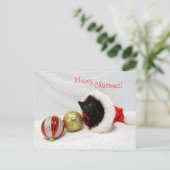 Joon's Christmas - Chat / Carte postale Kitten (Debout devant)