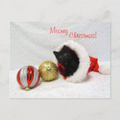 Joon's Christmas - Chat / Carte postale Kitten (Devant)