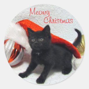 Joon's Christmas - Chat / Stickers Kitten