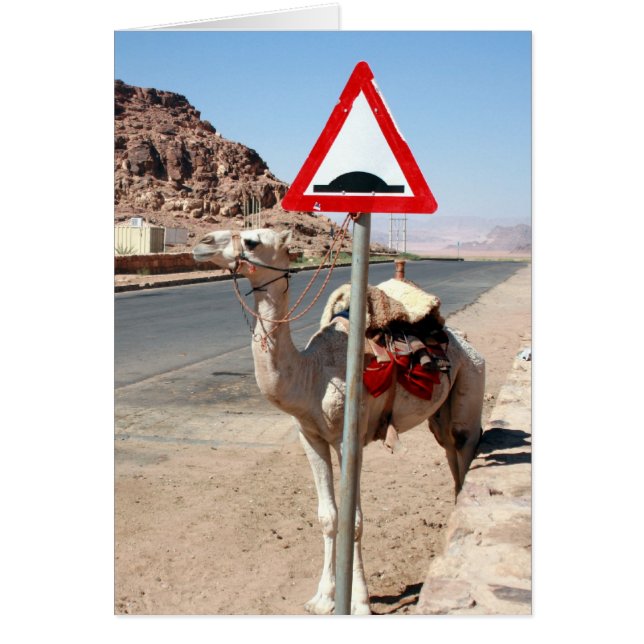 jordaanse camel (Voorkant)