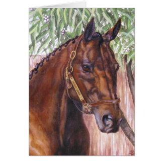 "Jordan Jack"-paardenkaart