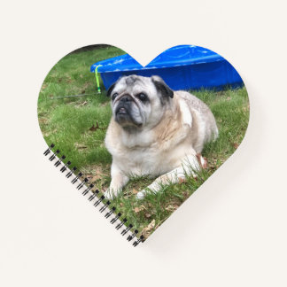 Jordan Pugs & Kisses Heart-Shaped-laptop Notitieboek