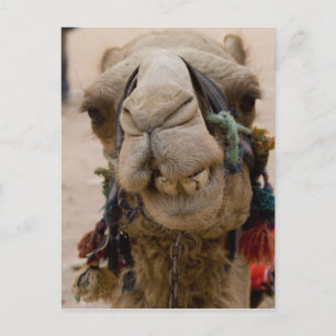 Jordanië, Oude Nabateïsche stad Petra Briefkaart