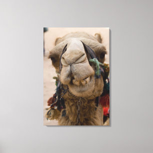 Jordanië, Oude Nabateïsche stad Petra Canvas Afdruk