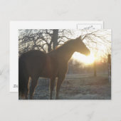 Jose Benito Briefkaart (Voorkant / Achterkant)