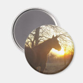 Jose benito magneet (Voorkant / Achterkant)