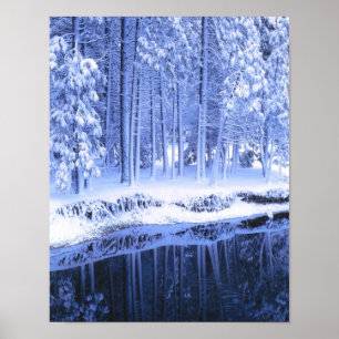 JOSEMITE NATIONAL PARK, CALIFORNIA. VS. vers Poster