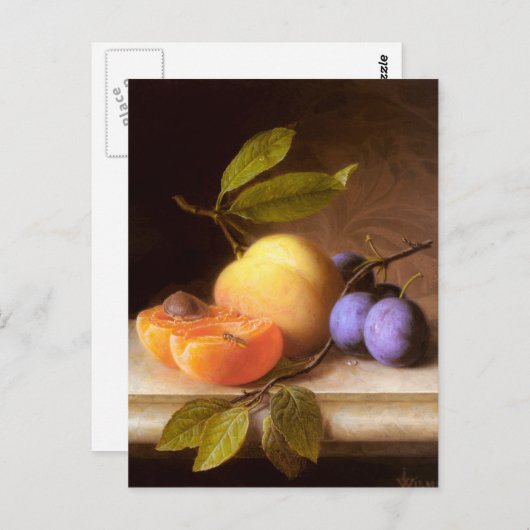 Joseph Peter Wilms - Peaches en Plums Briefkaart (Voorkant / Achterkant)
