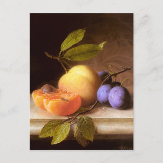 Joseph Peter Wilms - Peaches en Plums Briefkaart (Voorkant)