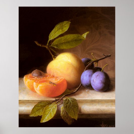 Joseph Peter Wilms - Peaches en Plums Poster (Voorkant)