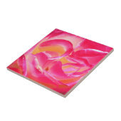 Joseph's Coat Roos - Tile Tegeltje (Zijkant)