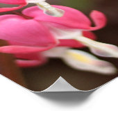 Joshua 24:15 bloeding hartbloemen poster (Hoek)