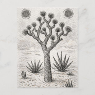 joshua boom schets woestijn schets kunst feestdagenkaart