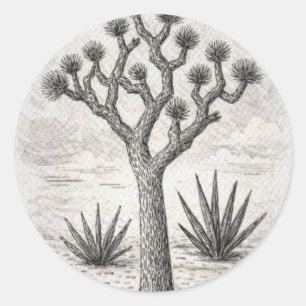 joshua boom schets woestijn schets kunst ronde sticker