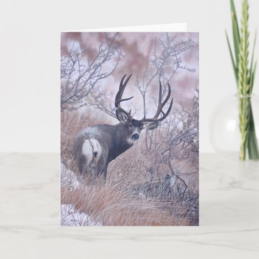 Joshua remarque la carte de note (Devant)