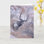 Joshua remarque la carte de note (Fleur jaune)