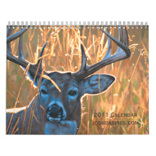 Joshua spioneert de Kalender van 2011