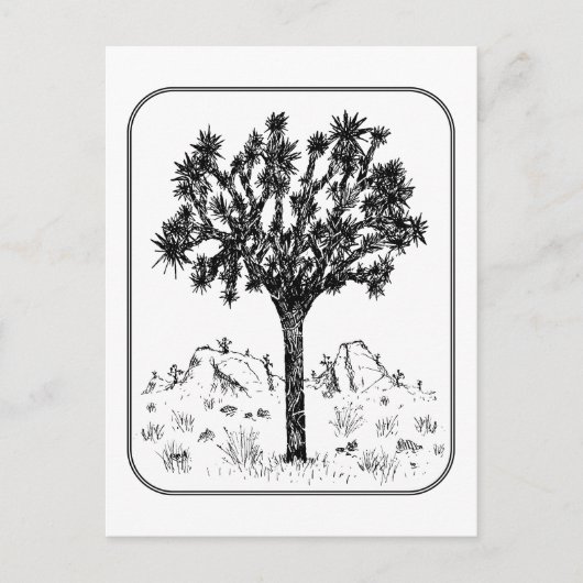 Joshua-structuur (rand) briefkaart (Voorkant)