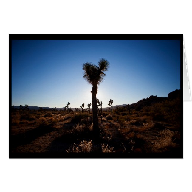 Joshua Tree (Voorkant Horizontaal)