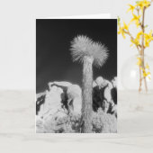 Joshua Tree #1 Kaart (Gele Bloem)