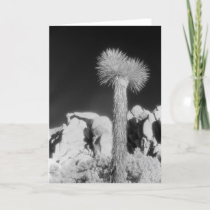 Joshua Tree #1 Kaart