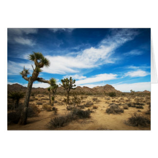 Joshua Tree Blue sky