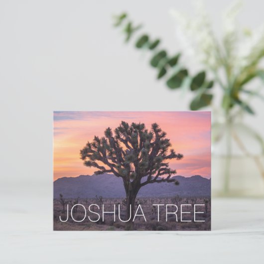 Joshua Tree Briefkaart (Staand voorkant)