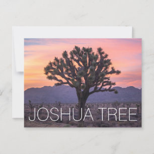 Joshua Tree Briefkaart